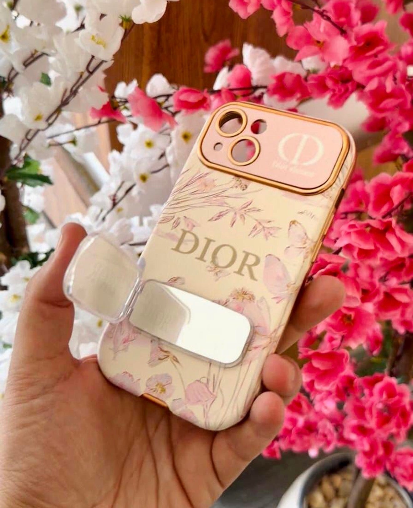 Dior with mirror