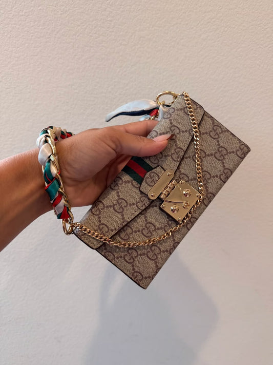 Gucci mini bag case